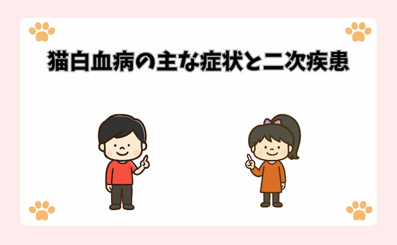 猫白血病の主な症状と二次疾患