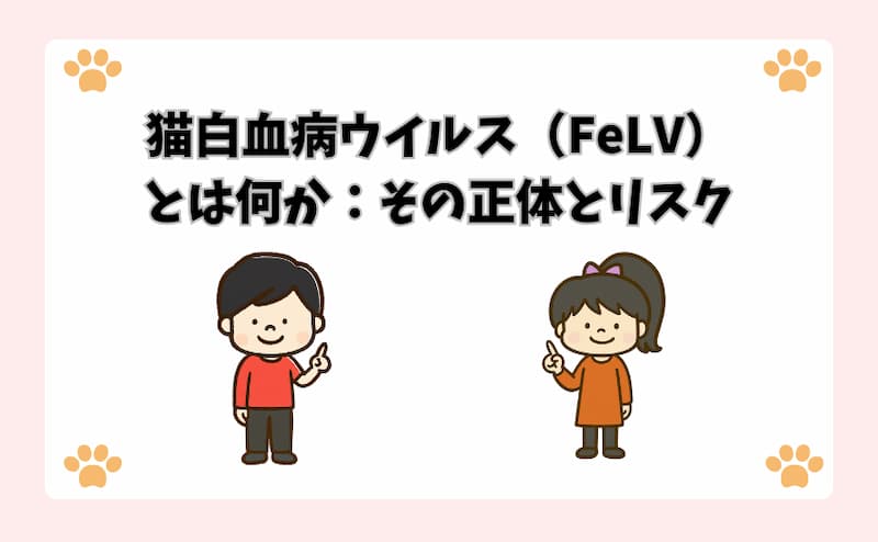 猫白血病ウイルス（FeLV）とは何か：その正体とリスク
