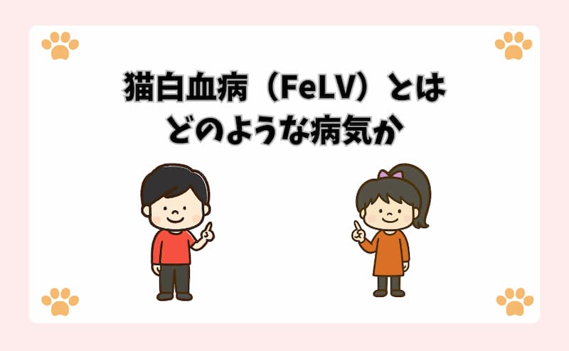 猫白血病（FeLV）とはどのような病気か