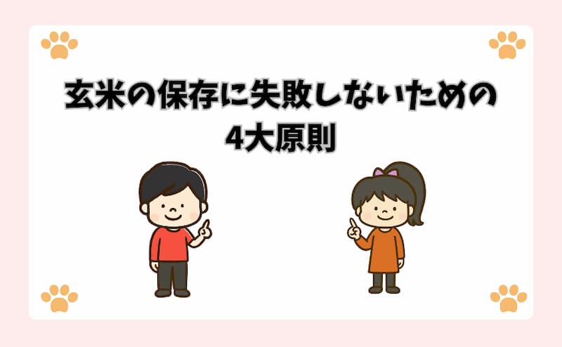 玄米の保存に失敗しないための4大原則