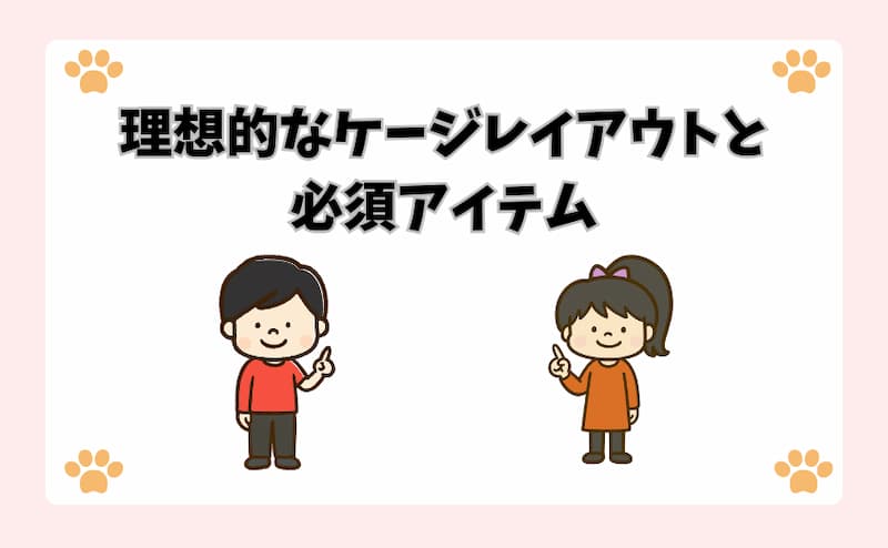 理想的なケージレイアウトと必須アイテム