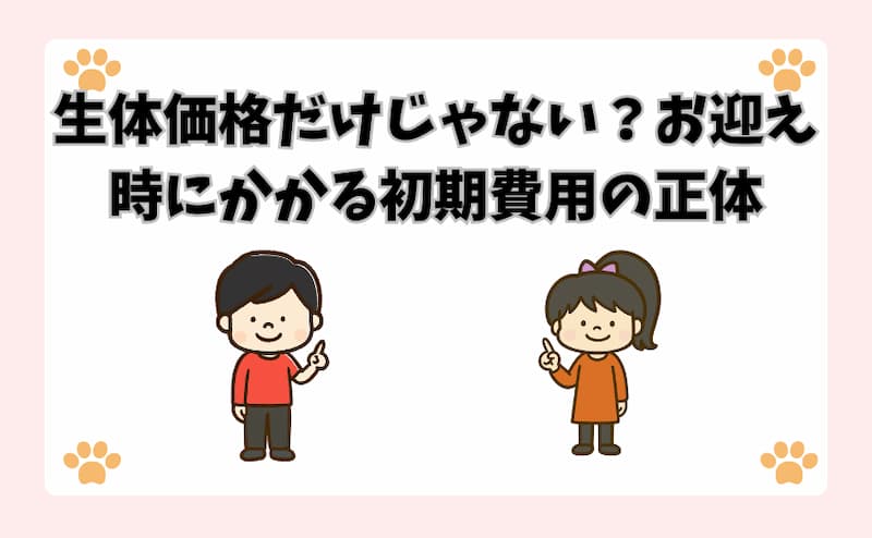 生体価格だけじゃない？お迎え時にかかる初期費用の正体