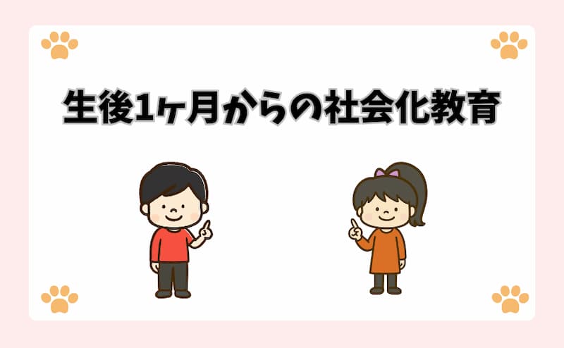 生後1ヶ月からの社会化教育