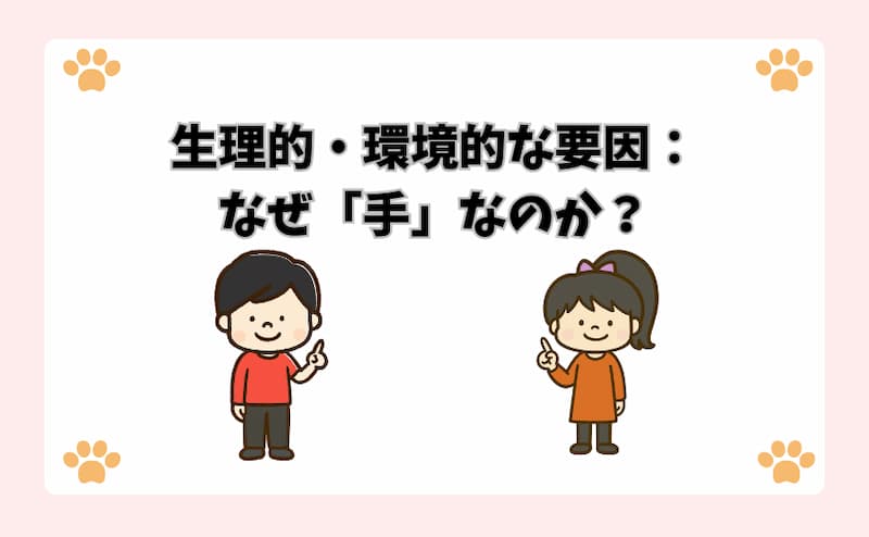 生理的・環境的な要因：なぜ「手」なのか？