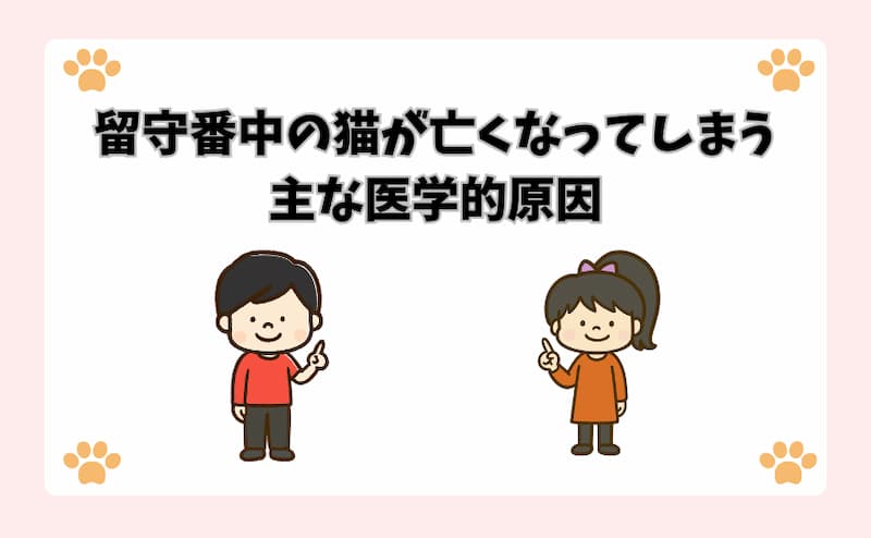 留守番中の猫が亡くなってしまう主な医学的原因