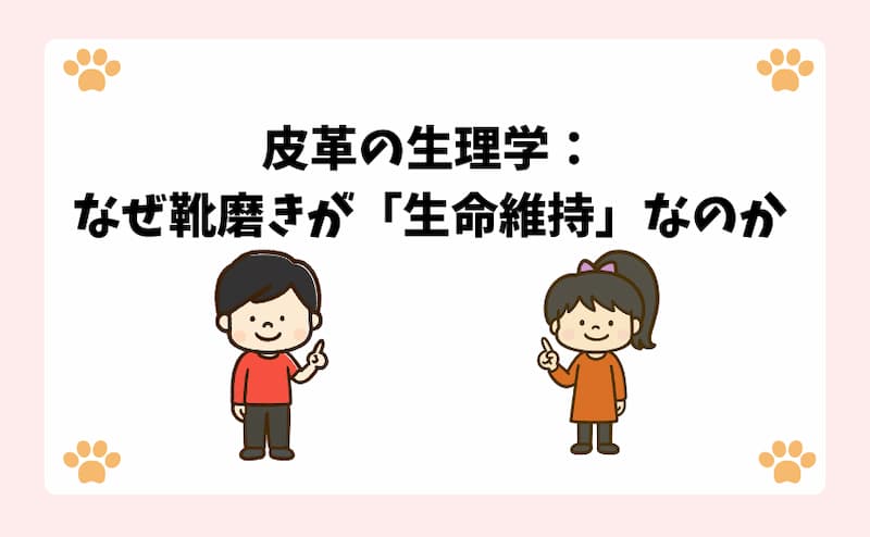 皮革の生理学：なぜ靴磨きが「生命維持」なのか
