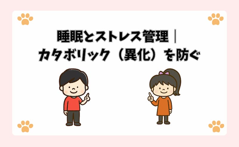 睡眠とストレス管理｜カタボリック（異化）を防ぐ