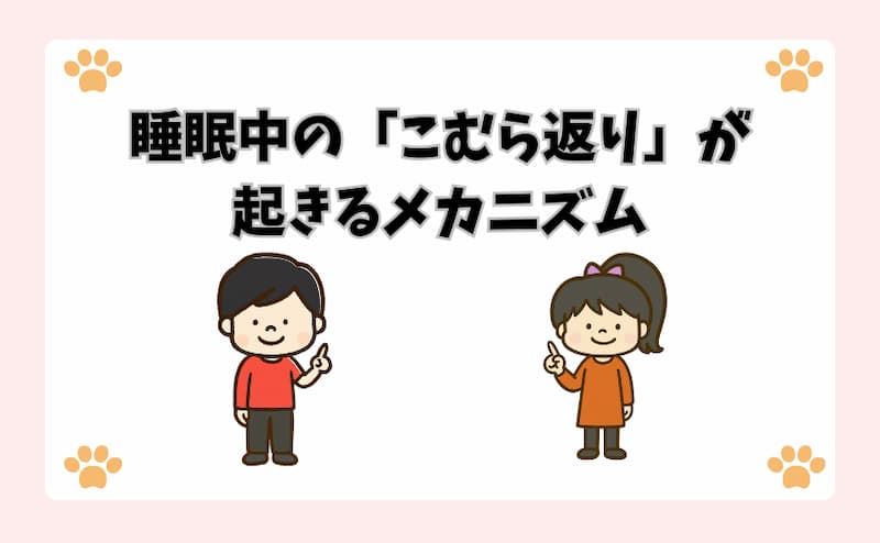 睡眠中の「こむら返り」が起きるメカニズム