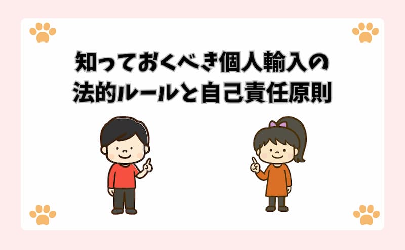 知っておくべき個人輸入の法的ルールと自己責任原則