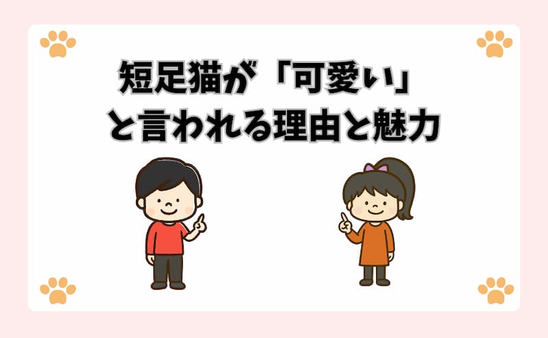 短足猫が「可愛い」と言われる理由と魅力