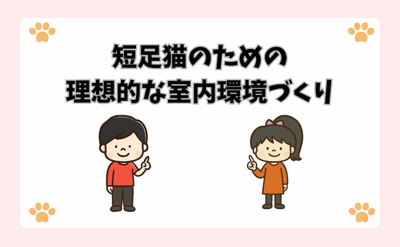 短足猫のための理想的な室内環境づくり