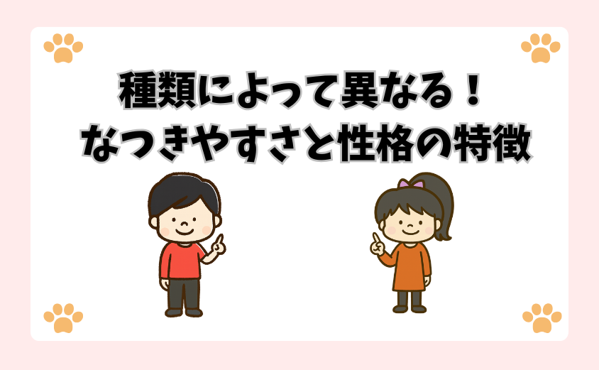 種類によって異なる！なつきやすさと性格の特徴