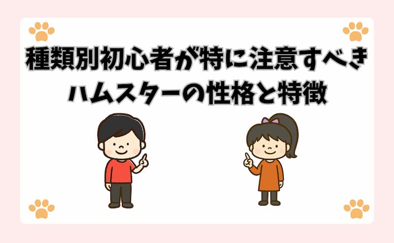 種類別：初心者が特に注意すべきハムスターの性格と特徴
