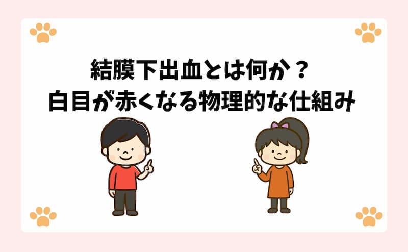 結膜下出血とは何か？白目が赤くなる物理的な仕組み