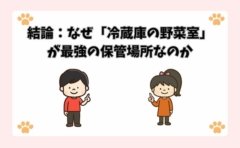 結論：なぜ「冷蔵庫の野菜室」が最強の保管場所なのか
