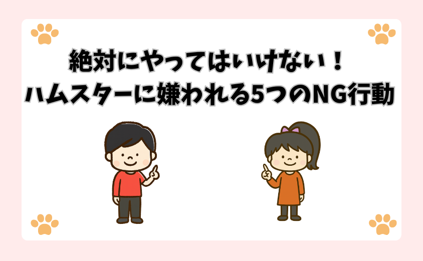 絶対にやってはいけない！ハムスターに嫌われる5つのNG行動
