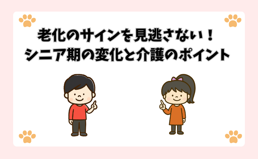老化のサインを見逃さない！シニア期の変化と介護のポイント