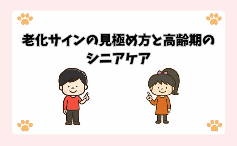 老化サインの見極め方と高齢期のシニアケア