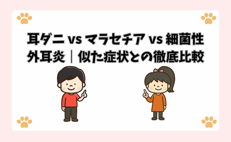 耳ダニ vs マラセチア vs 細菌性外耳炎｜似た症状との徹底比較