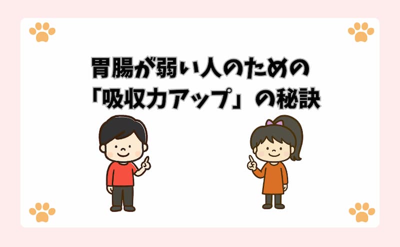 胃腸が弱い人のための「吸収力アップ」の秘訣