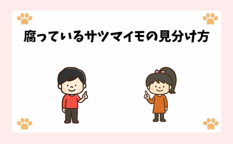 腐っているサツマイモの見分け方