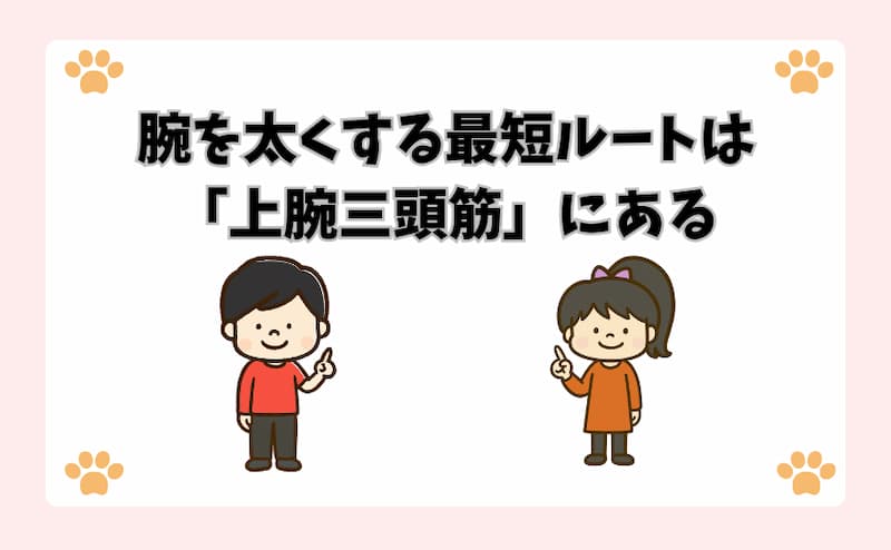 腕を太くする最短ルートは「上腕三頭筋」にある
