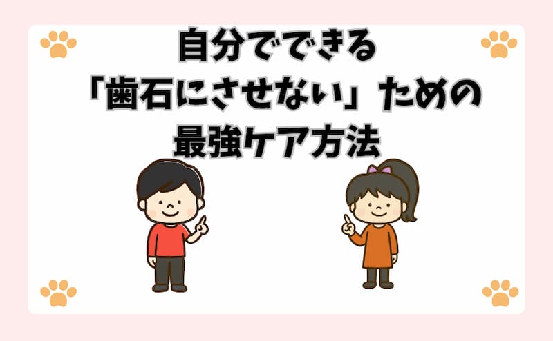 自分でできる「歯石にさせない」ための最強ケア方法