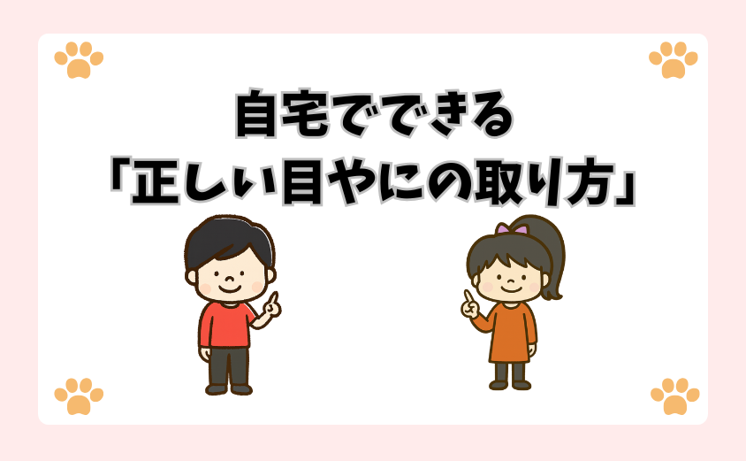 自宅でできる「正しい目やにの取り方」