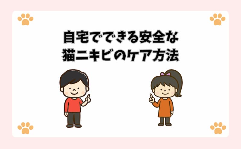 自宅でできる安全な猫ニキビのケア方法