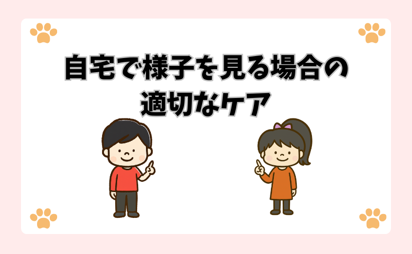 自宅で様子を見る場合の適切なケア