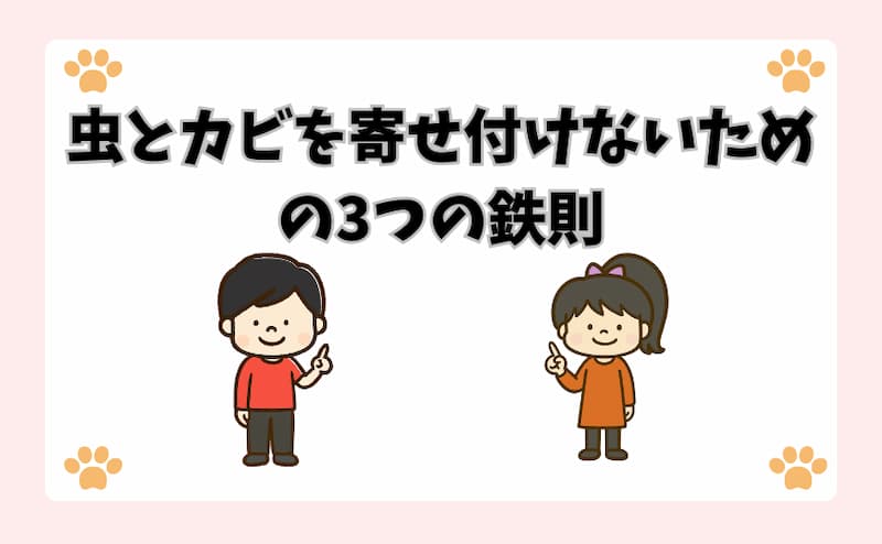 虫とカビを寄せ付けないための3つの鉄則