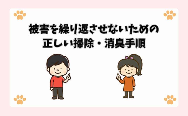 被害を繰り返させないための正しい掃除・消臭手順
