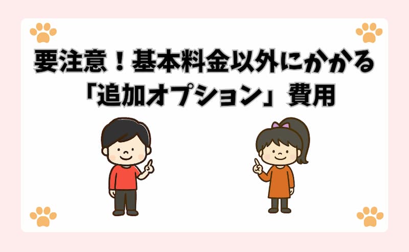要注意！基本料金以外にかかる「追加オプション」費用