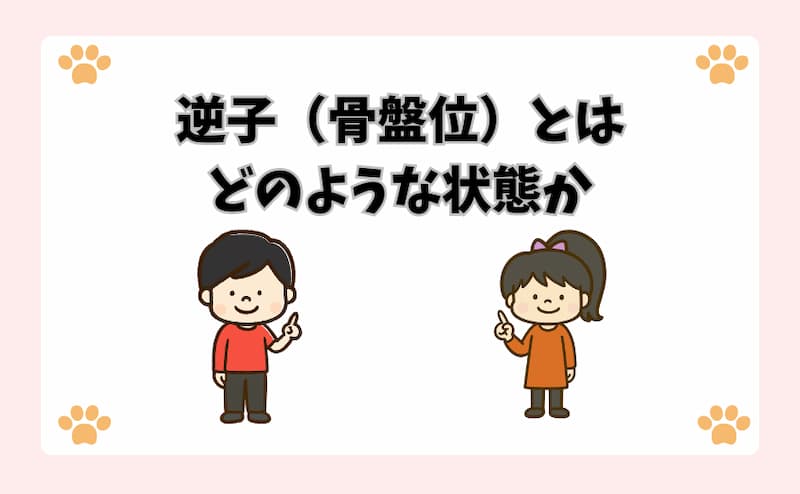 逆子（骨盤位）とはどのような状態か