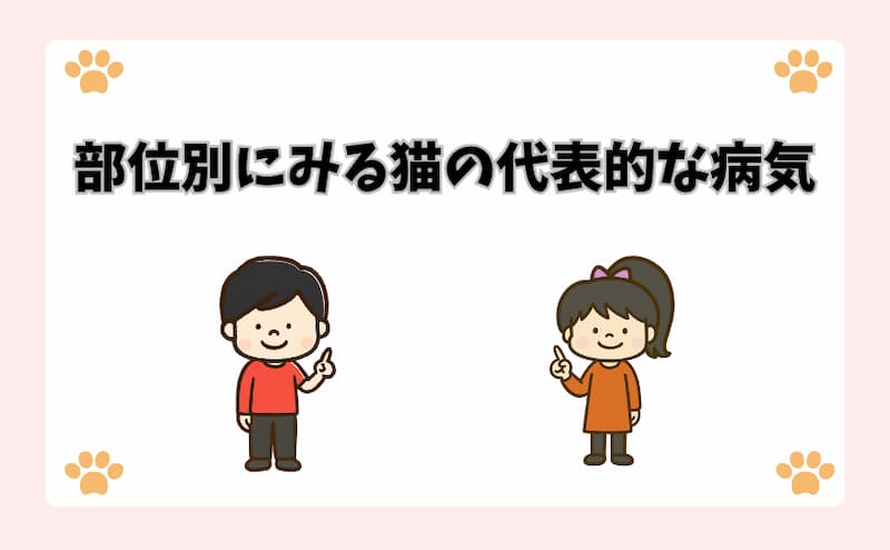 部位別にみる猫の代表的な病気