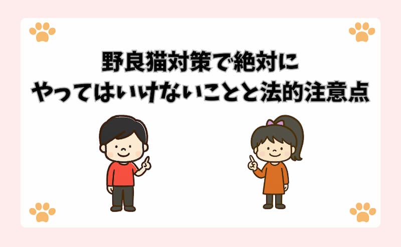 野良猫対策で絶対にやってはいけないことと法的注意点
