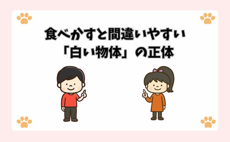 食べかすと間違いやすい「白い物体」の正体