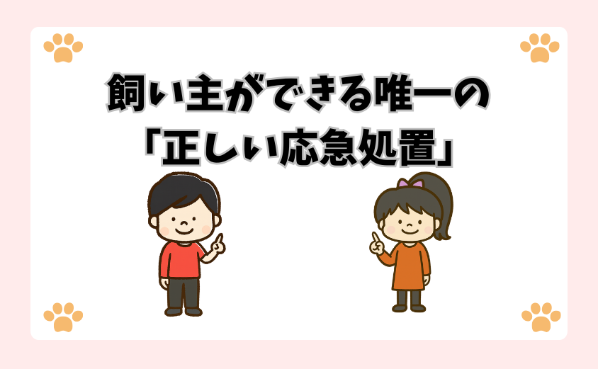 飼い主ができる唯一の「正しい応急処置」