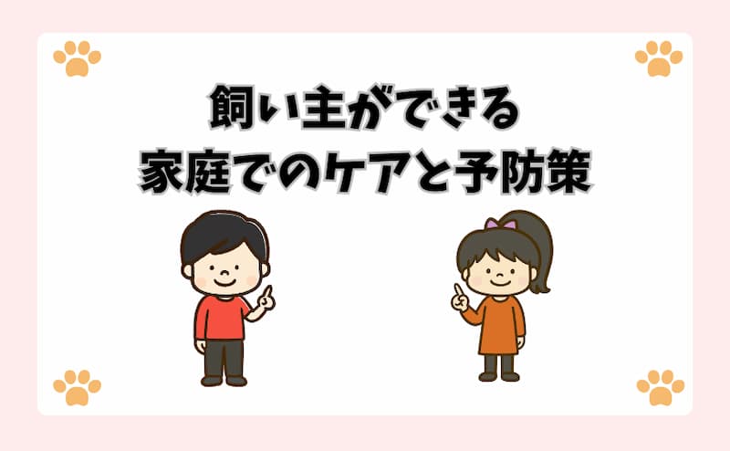飼い主ができる家庭でのケアと予防策