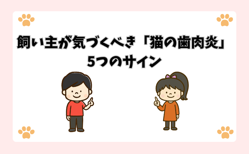 飼い主が気づくべき「猫の歯肉炎」5つのサイン