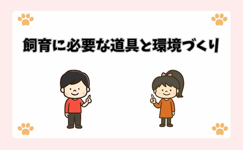 飼育に必要な道具と環境づくり