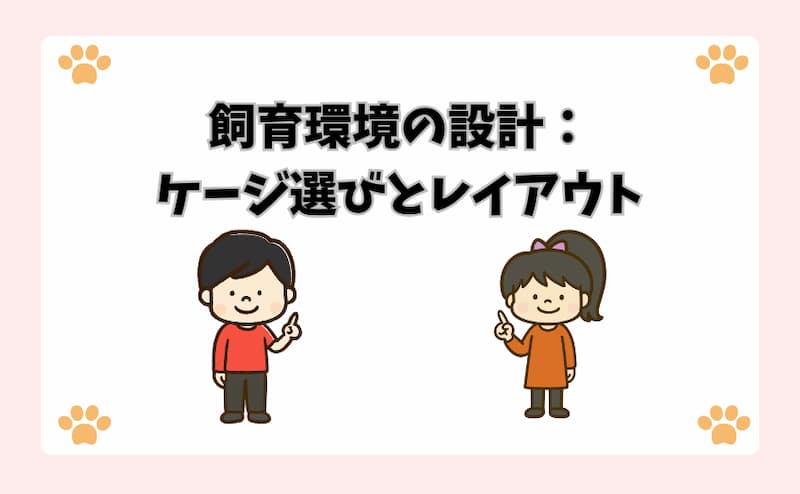 飼育環境の設計：ケージ選びとレイアウト