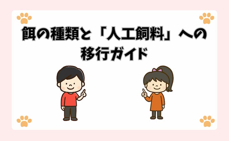 餌の種類と「人工飼料」への移行ガイド