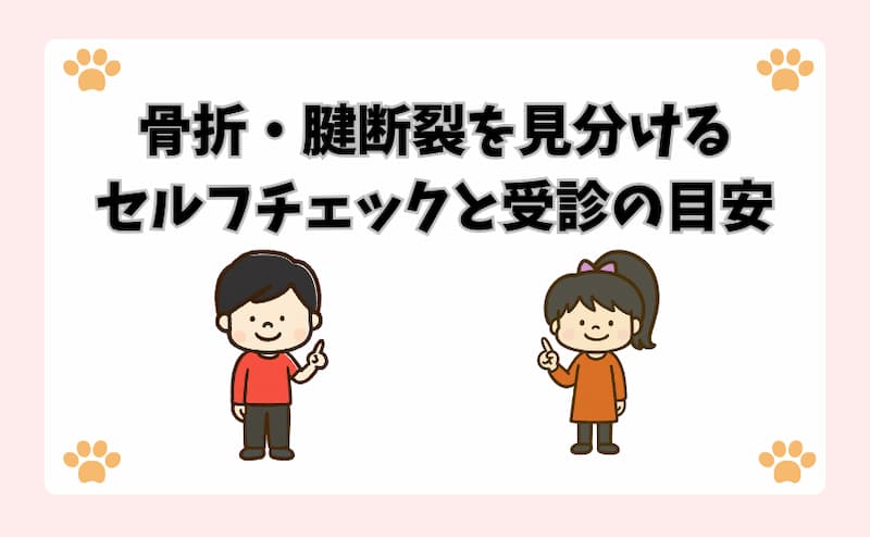 骨折・腱断裂を見分けるセルフチェックと受診の目安