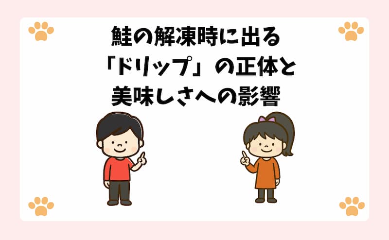 鮭の解凍時に出る「ドリップ」の正体と美味しさへの影響