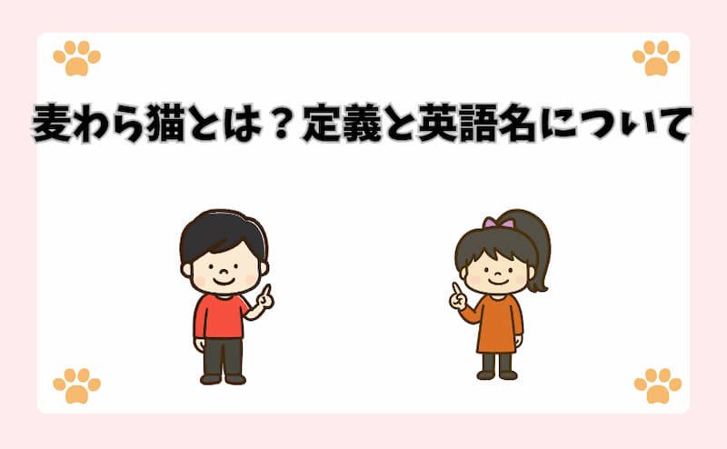 麦わら猫とは？定義と英語名について