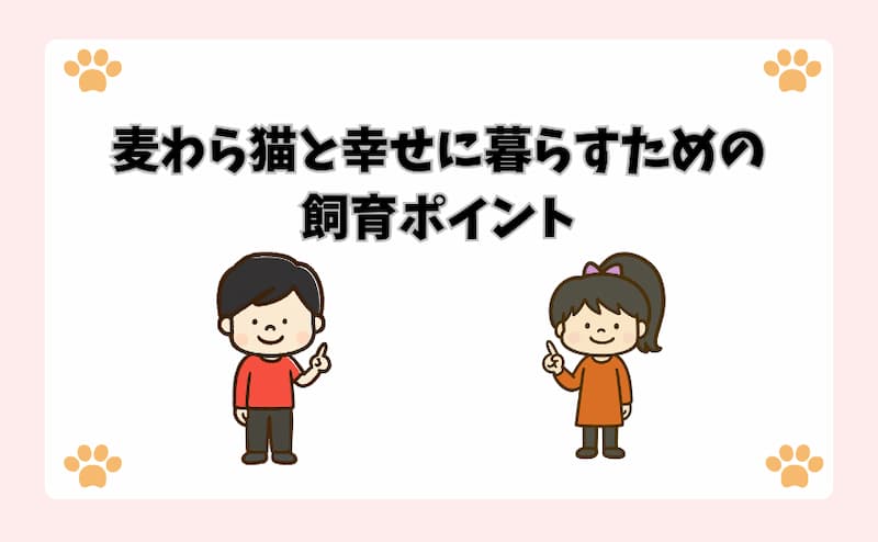 麦わら猫と幸せに暮らすための飼育ポイント