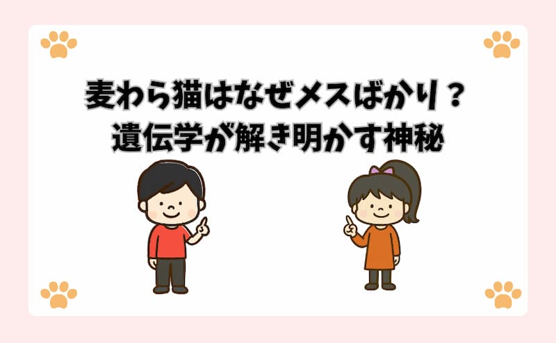 麦わら猫はなぜメスばかり？遺伝学が解き明かす神秘
