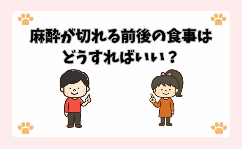 麻酔が切れる前後の食事はどうすればいい？