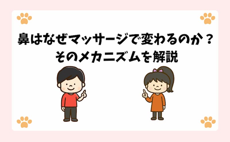 鼻はなぜマッサージで変わるのか？そのメカニズムを解説